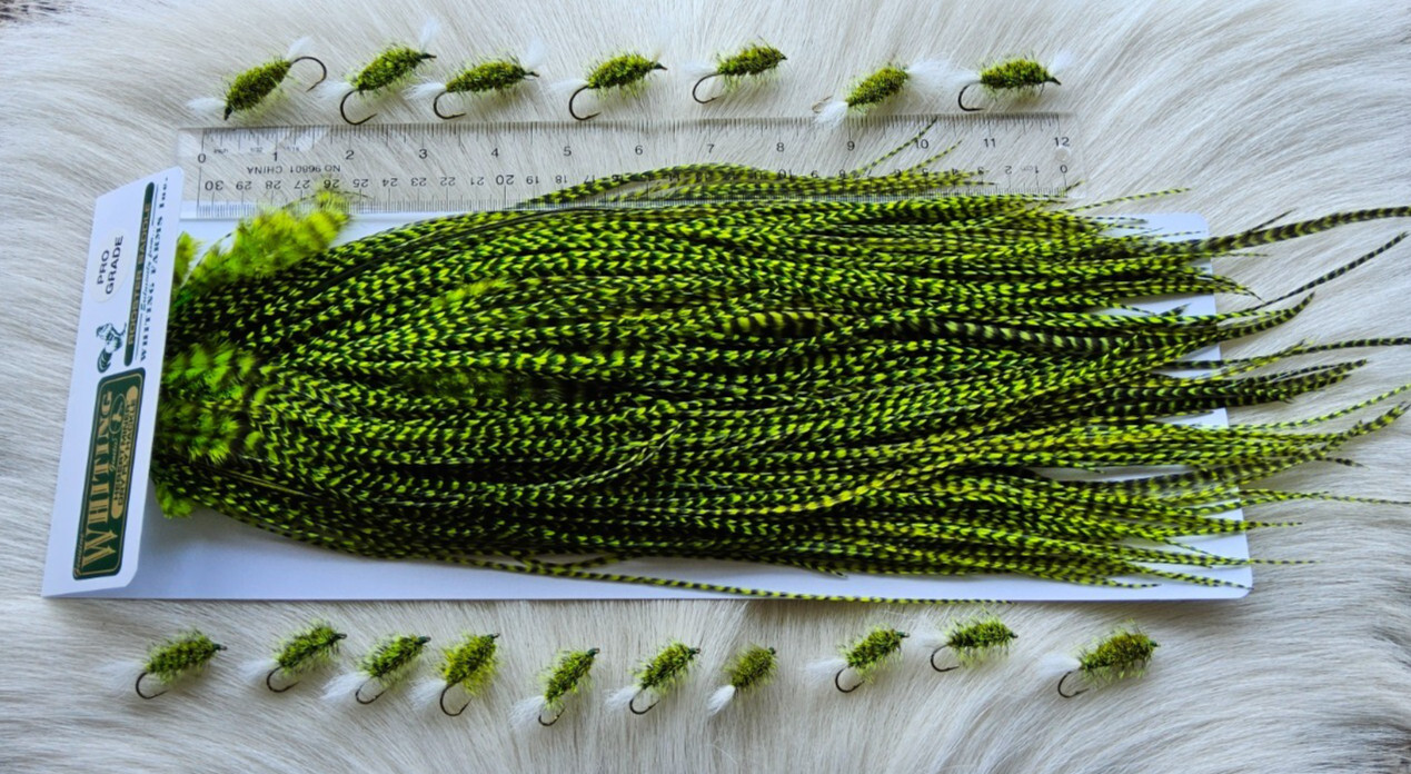 Whiting Saddle Hackle. Full Saddle,, Color; Grizzly Dyed Green. Free Shipping.