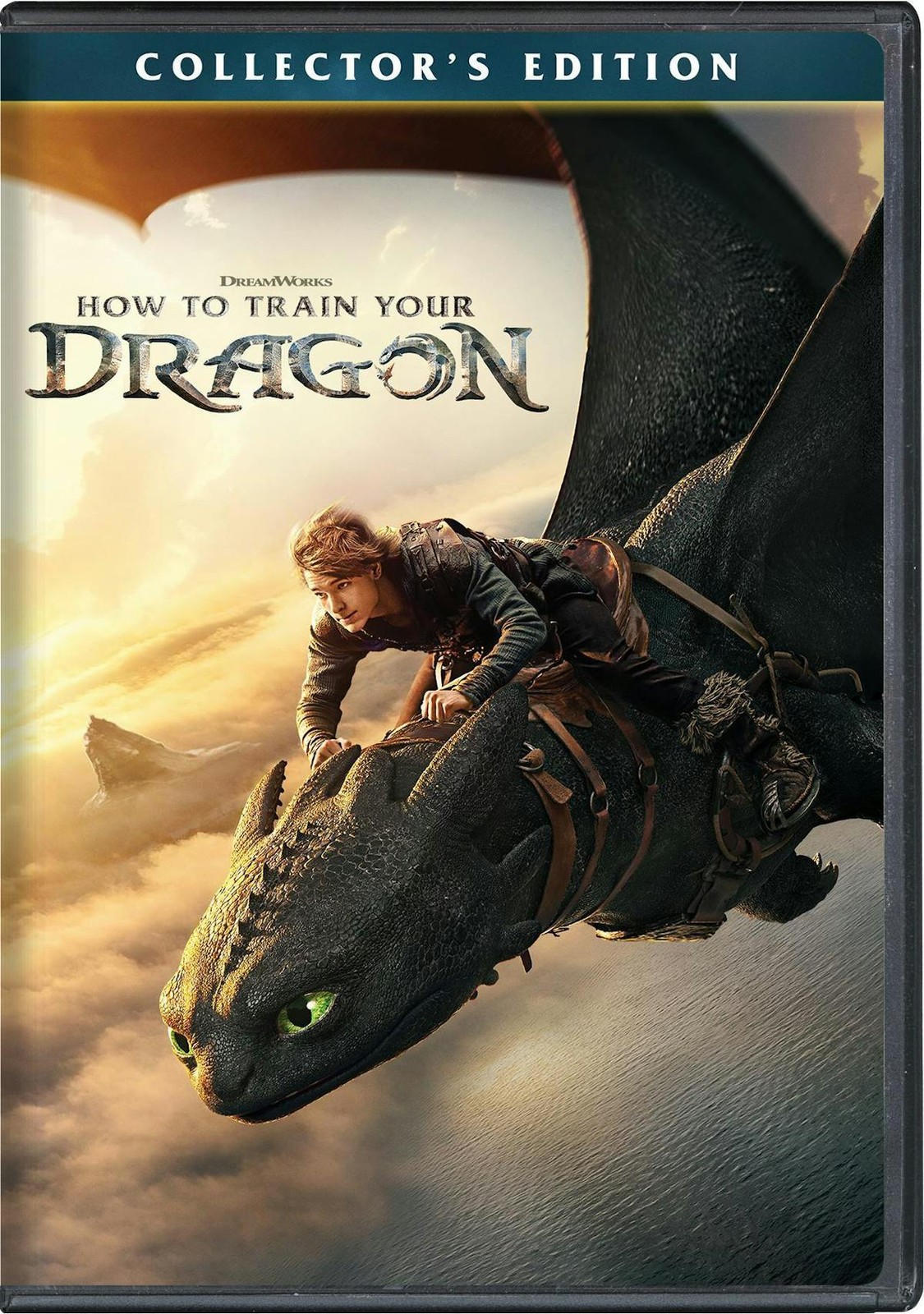 How to Train Your Dragon DVD  NEW