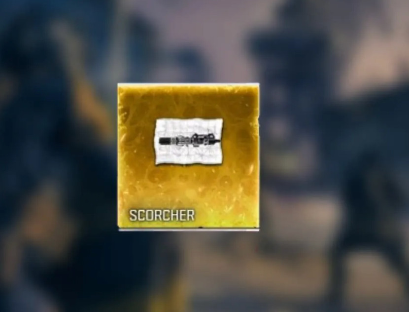 6x Scorcher | MWZ Cases | MW3 Zombies | FAST DROP