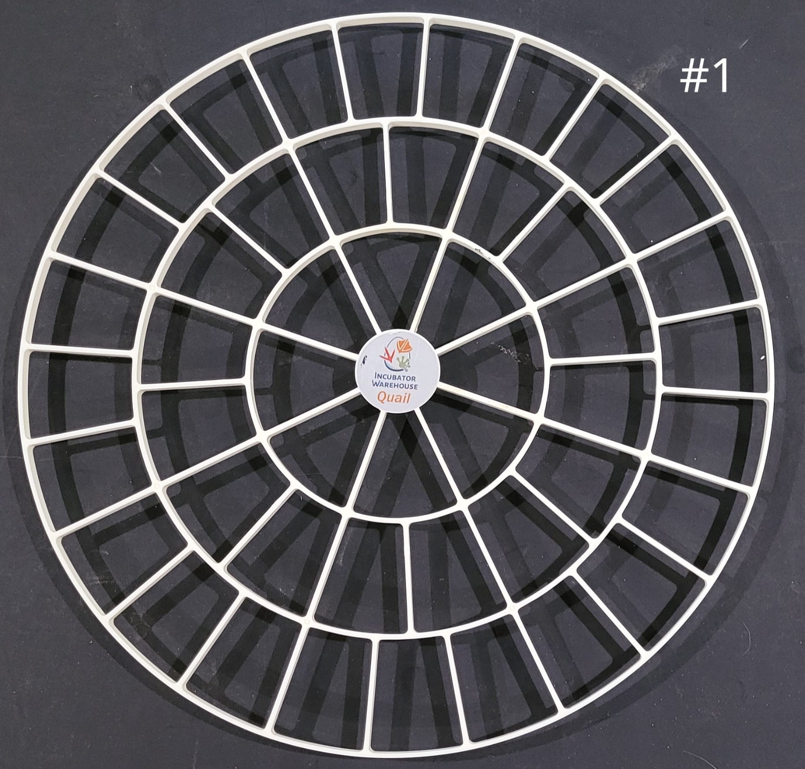 Quail Bird Egg Tray for Nurture Right 360 Egg Incubator  - holds 48 eggs