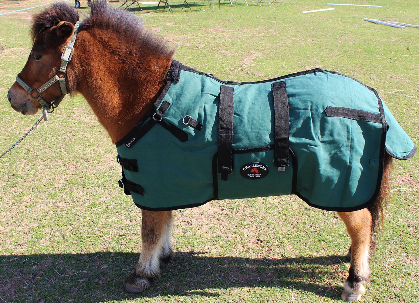 40" Canvas Duck Turnout Water Resistant Foal Winter Blanket  51701