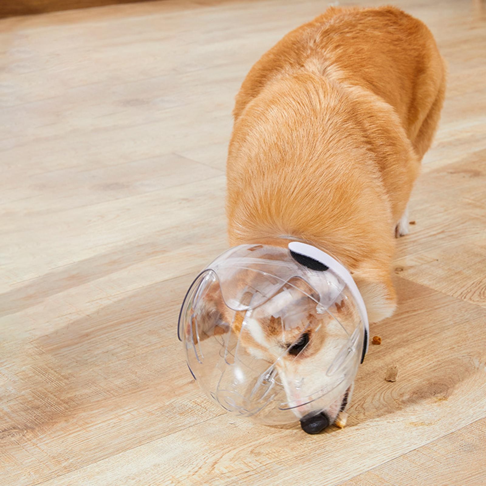 Dog Muzzle Prevent Biting Breathable Transparent Pet Hood Cat Muzzle Pet Helmet