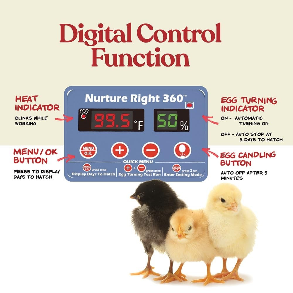 Automatic Egg Turner Incubator for Multiple Poultry Species