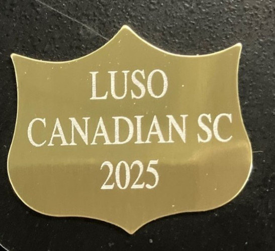 Custom Laser Engraved 3 Point Shield For Annual Plaques, Fantasy, Gold 36x32mm
