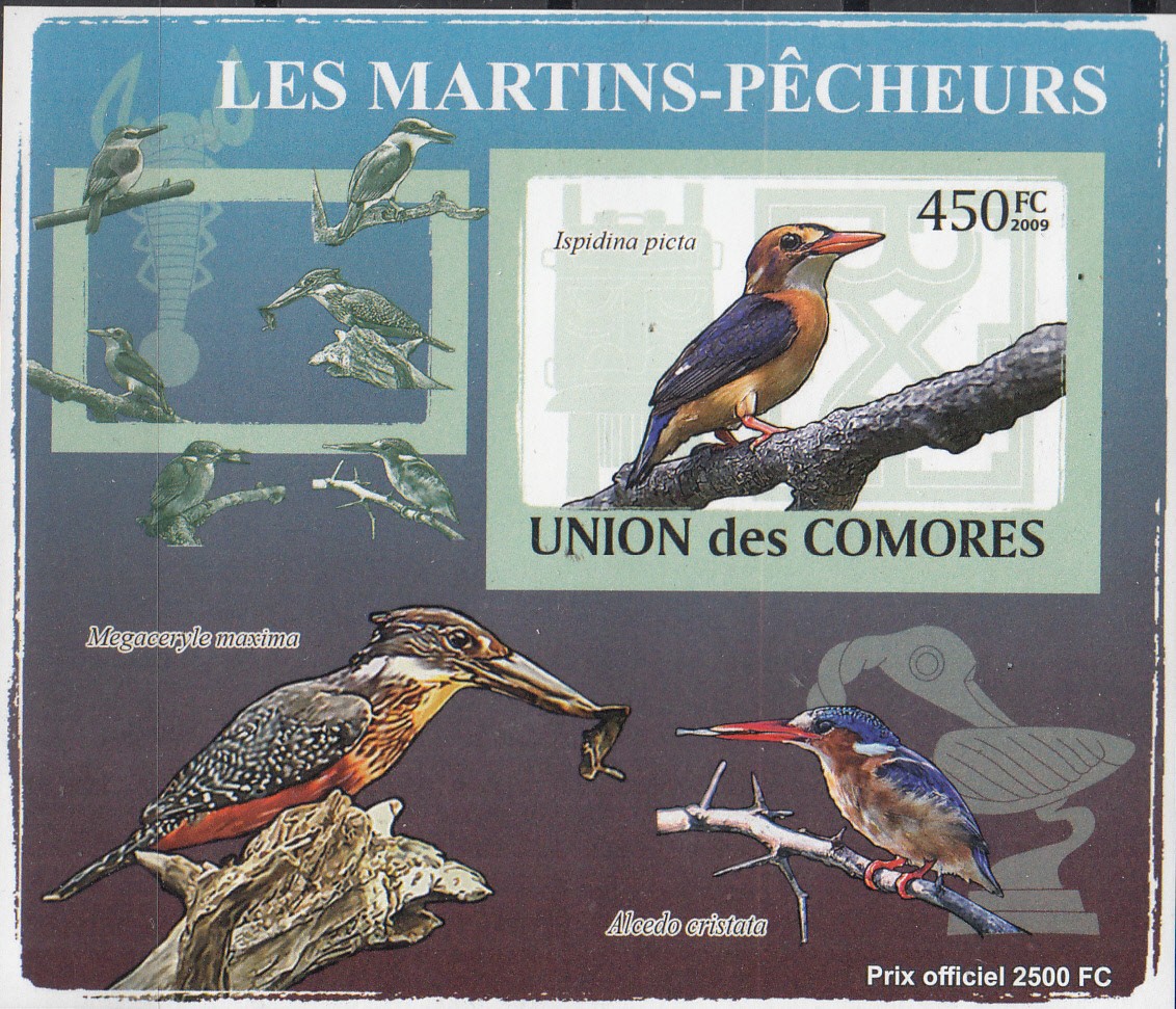 W COMORO Y2009 (04) (4v) BIRDS