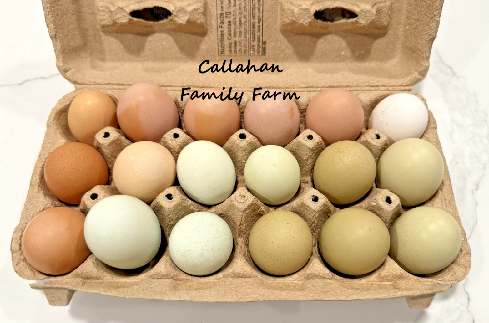 16++ Chicken Hatching Eggs ~Barnyard Mix~ Rainbow Egg Layers ~ Premium Breeds