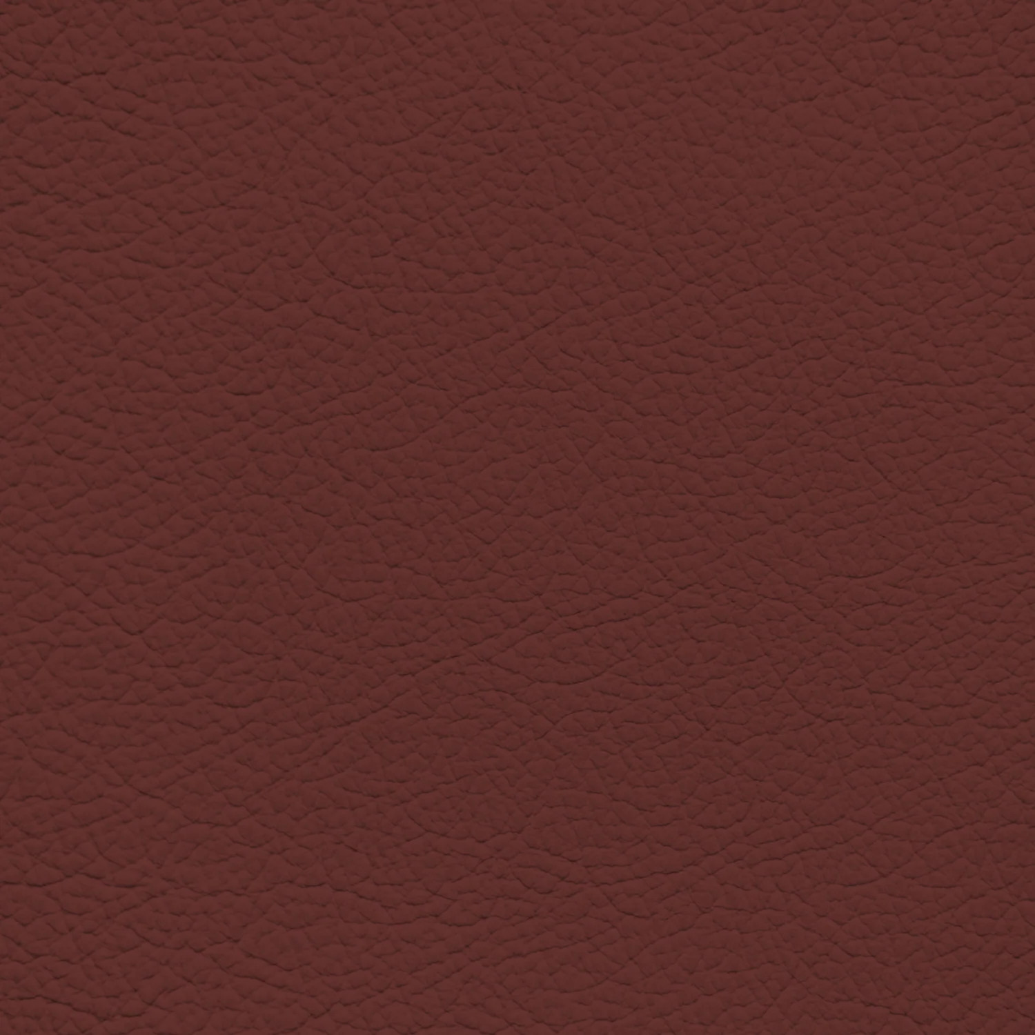 BMW Chateau Leather Dye