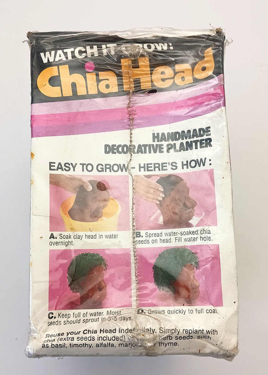 Retro 1996 Chia Head Chia Kid New Unopened Box