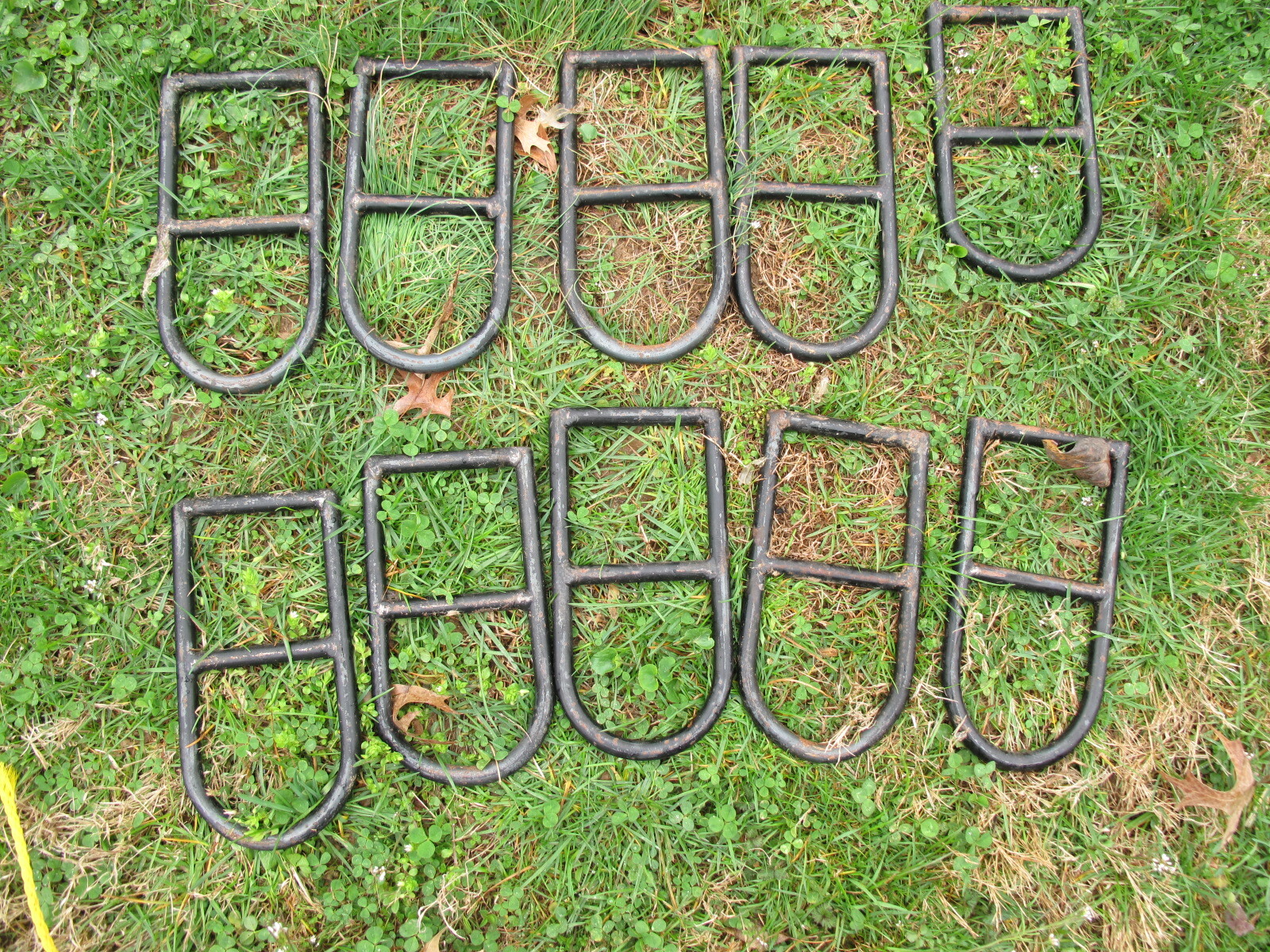 Equine Horse Outfitter High-Line D-Ring tie out loop Rocky mountain Elk hunt