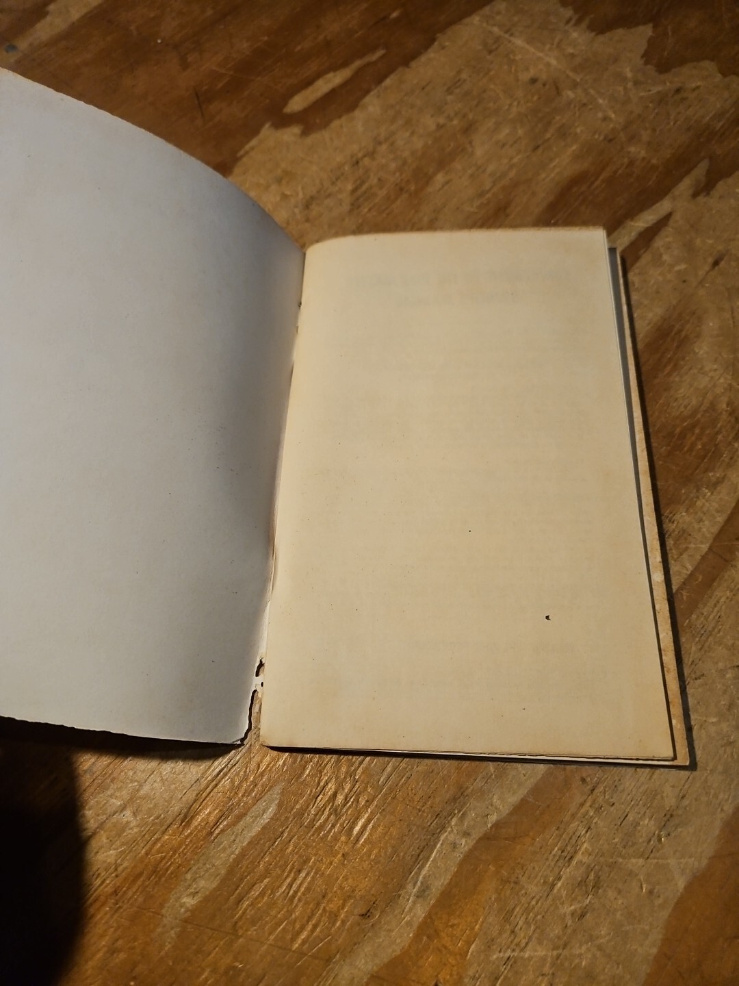 1965 Mooney Master Model M20D Owners Manual