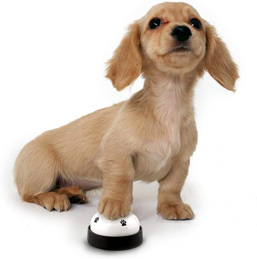 Multi-Purpose Dog Training Bells - 2 Pack for Potty & Home Training Activities
