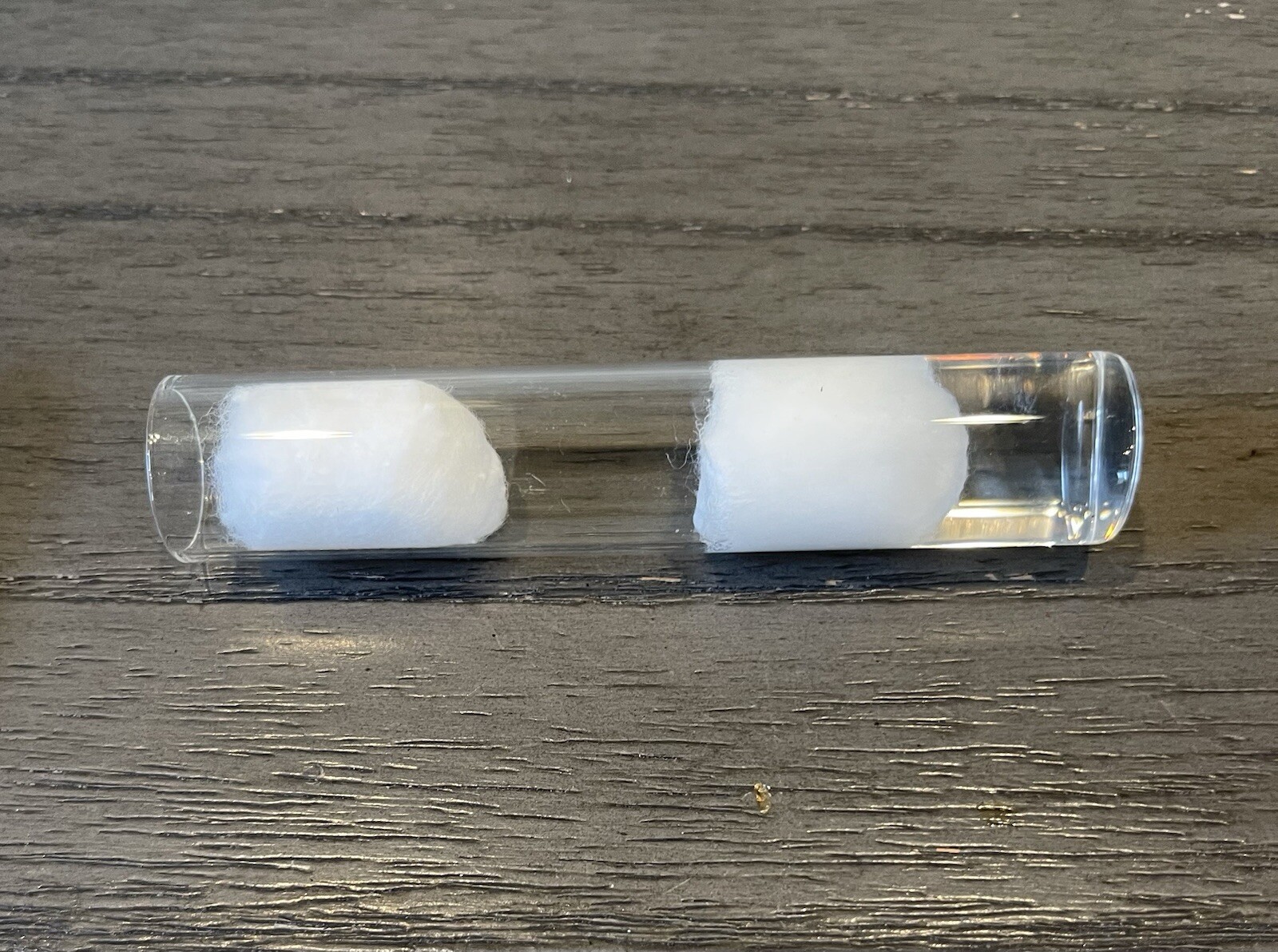 Test Tube Ant Farm Nest Use For Formica Cinerea 1-5W & Brood Silvery Queen House
