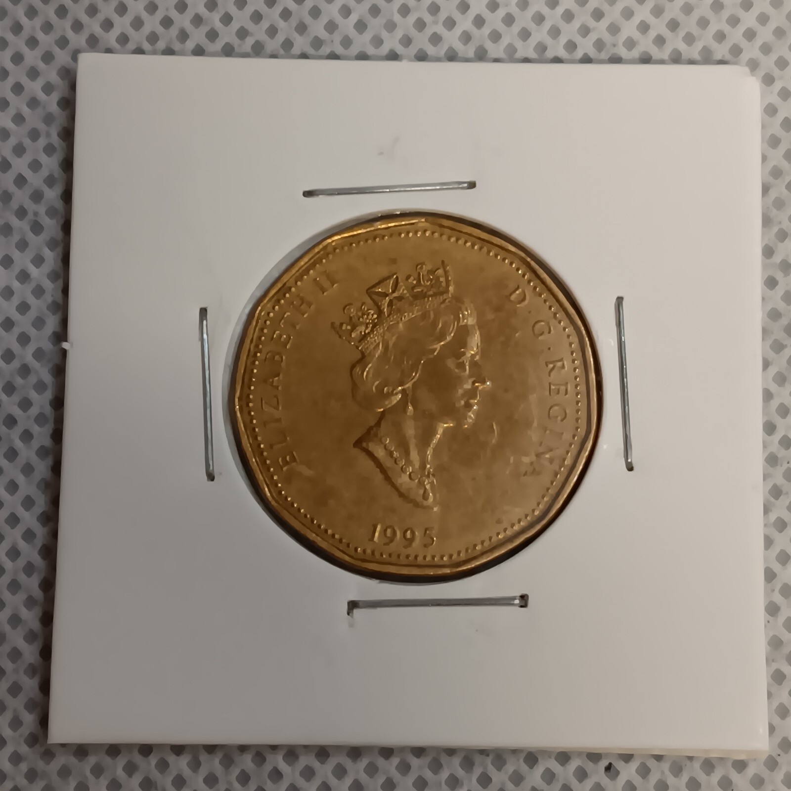 1995 Canadian $1 Coin in 2x2 Mylar Cardboard Flip