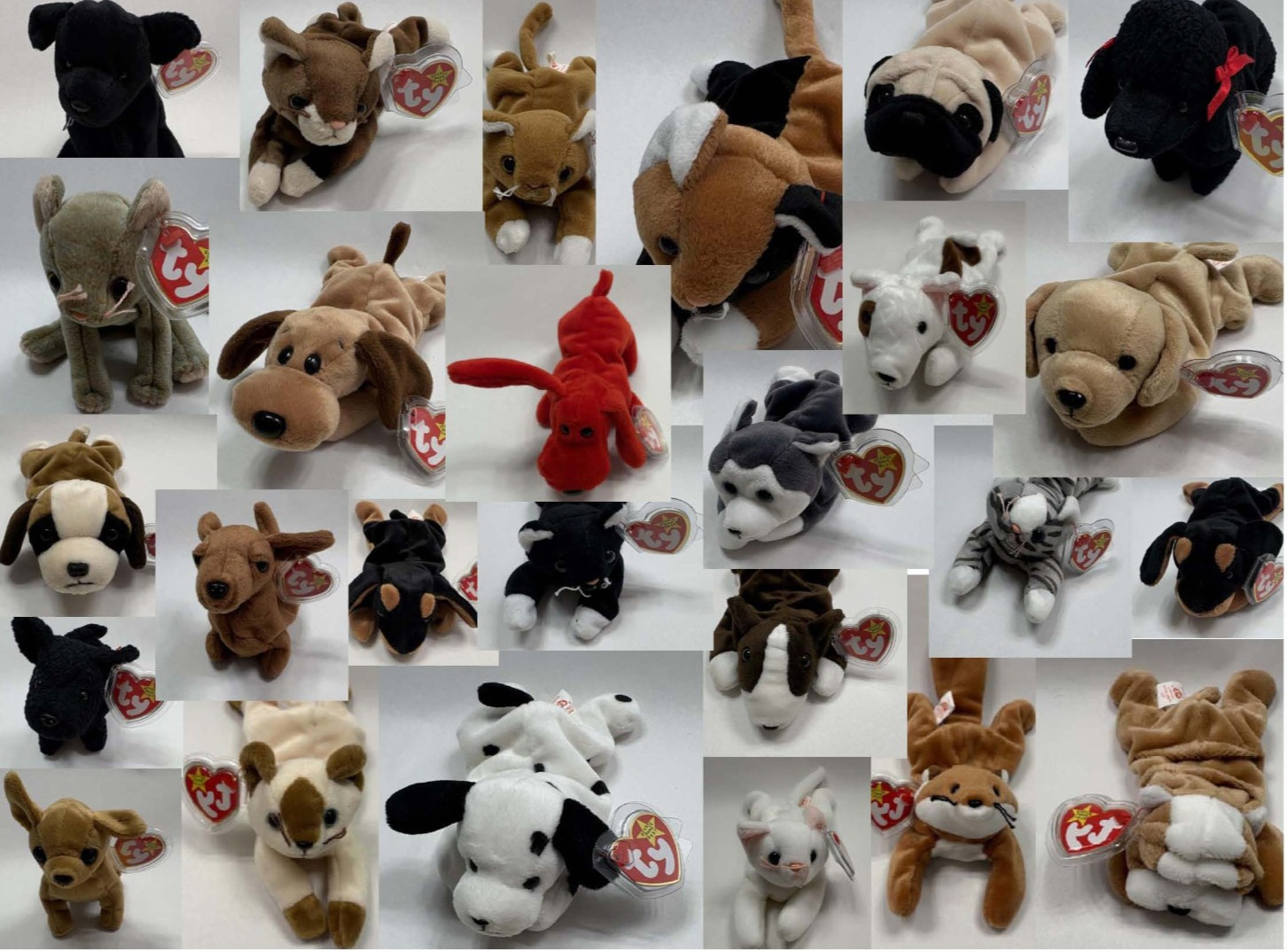 BEANIE BABIES DOGS CATS FOX SNIP WRINKLES NIP ROVER ZIP SCAT Tag Protected - New