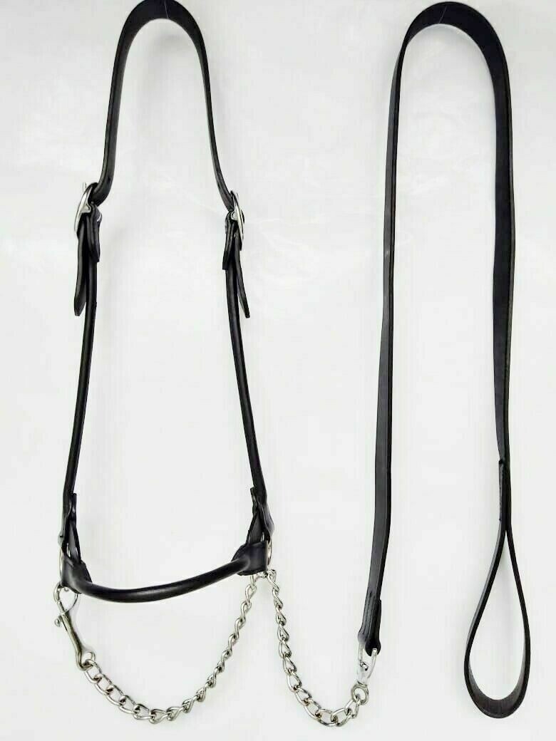 Show Halter With Leather Bling With Silver Fitting black Colour