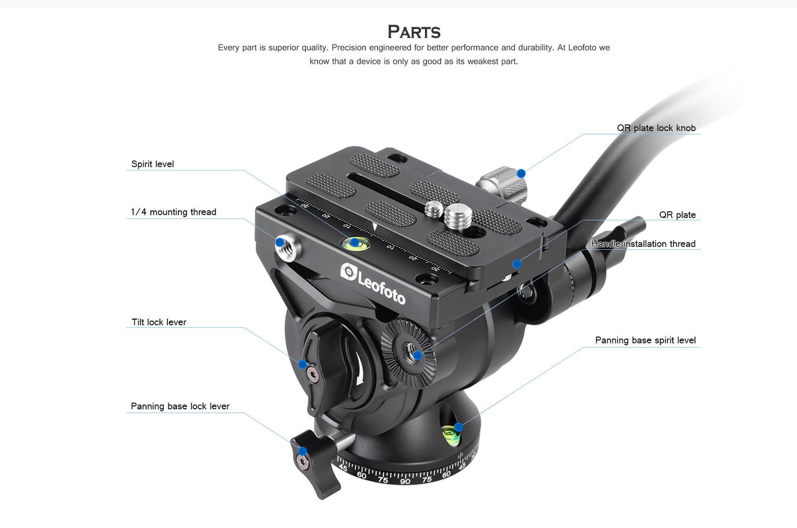 Leofoto LS-284CEXX Tripod w Integrated Leveling Head Ballhead LS-284CEXX+BV-10