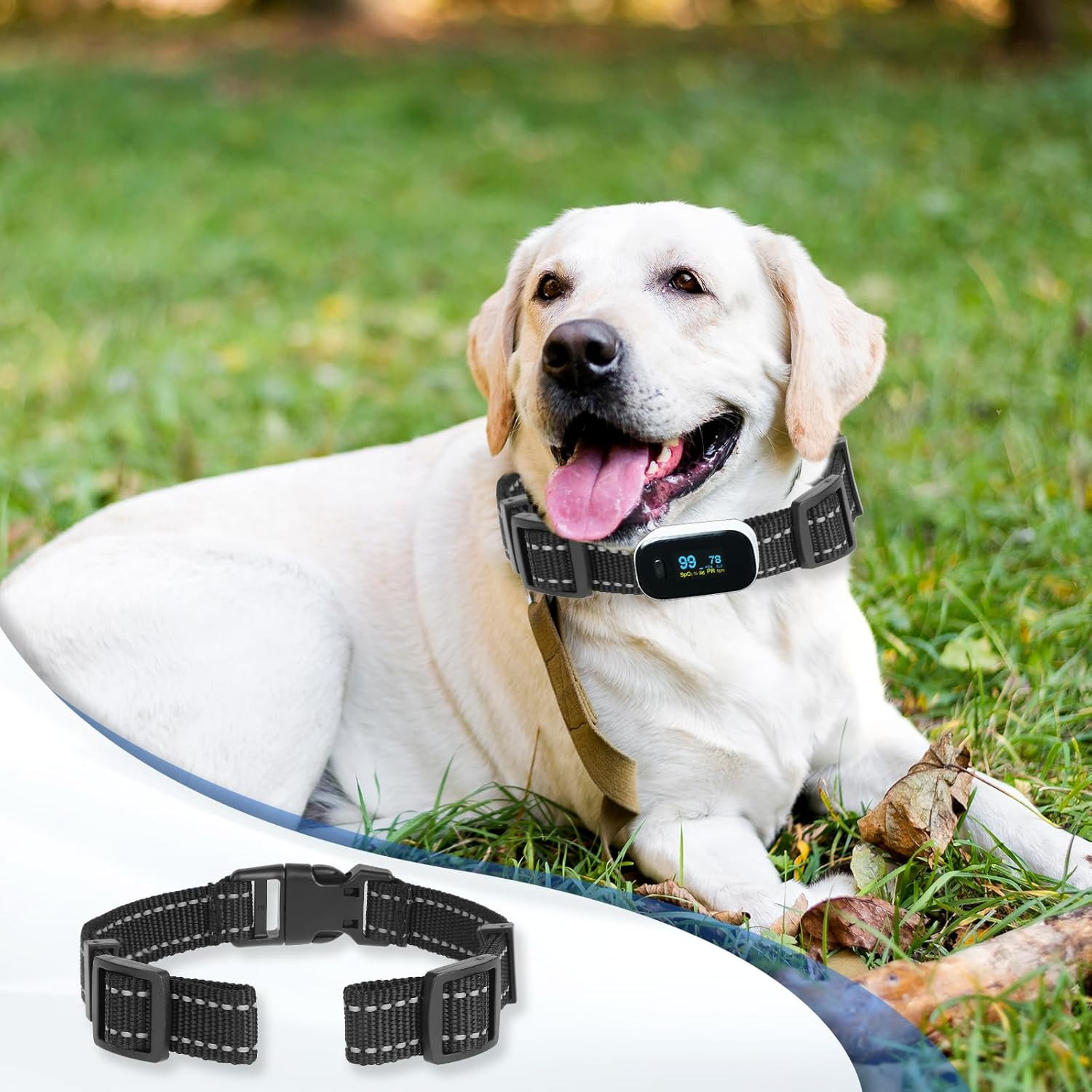 Replacement Collar for Shock Collar Replacement Strap E Collars Replacements Str