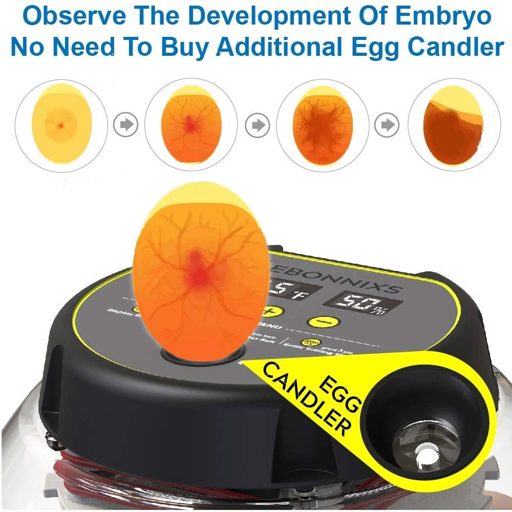 User-Friendly 12 Egg Incubator with Humidity Display & Automatic Timed Turner