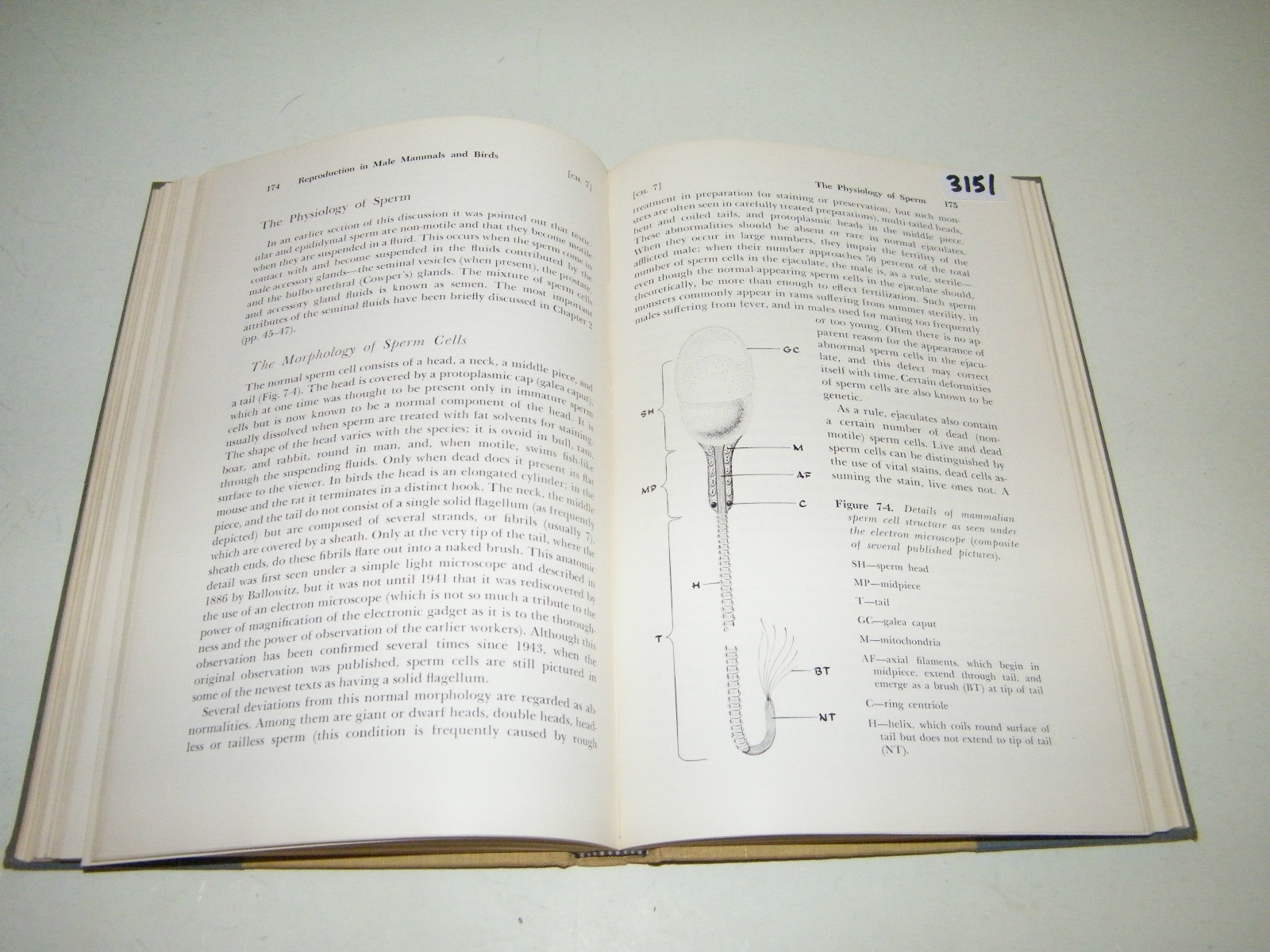 Comparative Reproductive Physiology Animals Man 1958