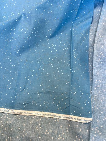 MED. BLUE Blossom Print Fabric, Christopher Thompson for Riley Blake Designs,