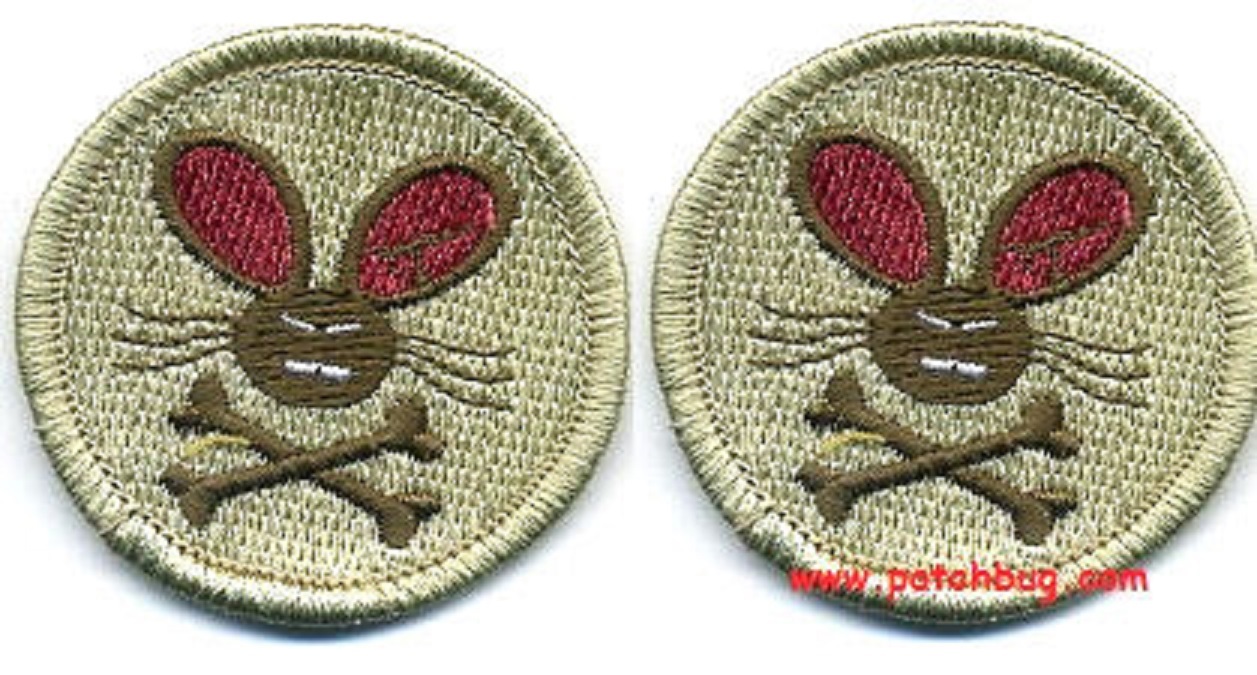 Syria-Iraq US ADVISERS JTF URBAN WARFARE burdock 2" 2-TAB: EVIL BUNNY CROSSBONES