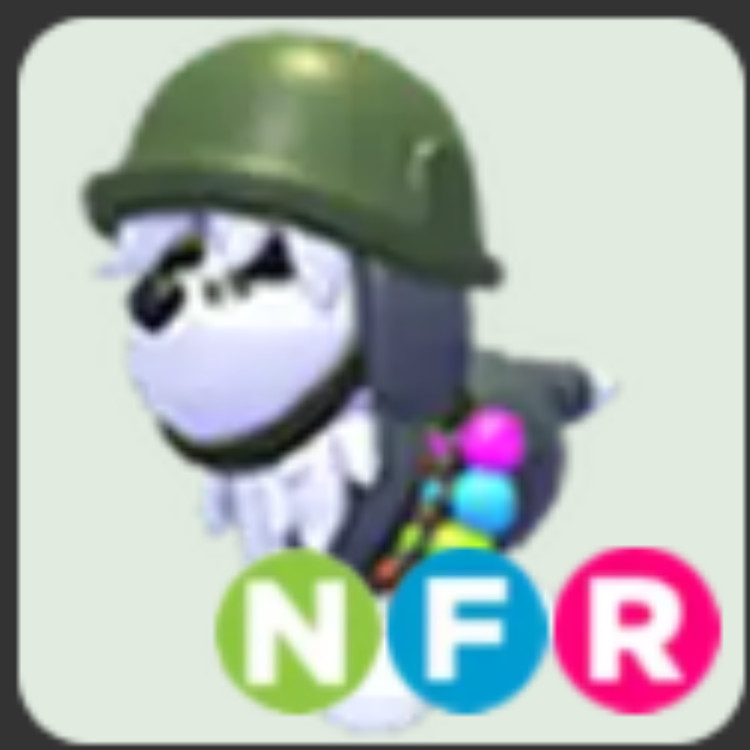 General Sheepdog /Neon /Mega | Adopt Now
