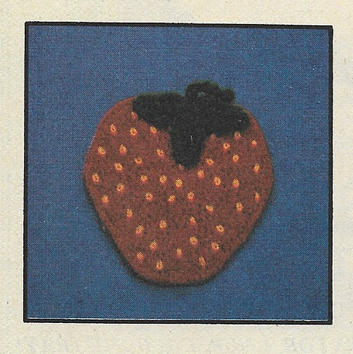 Strawberry Potholder crochet pattern instructions