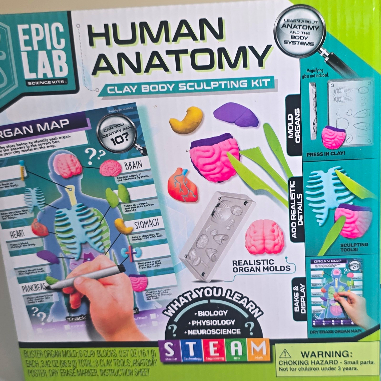 Epic Lab Human Anatomy Clay Body Sculpting Kit, Ages 8+, Age Level 8-11