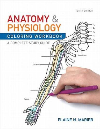 Anatomy and Physiology Coloring Workbook: A Complete Study Guide - GOOD