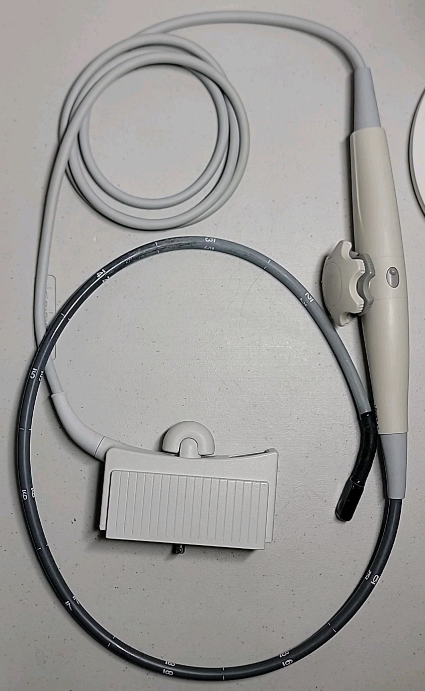 Acuson Transducer/Probe TE-V5M