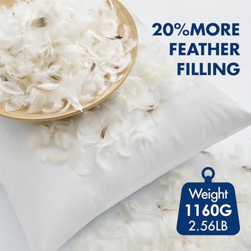Pack of 4 22x22 Pillow Inserts, Premium Feather and Down Decorative 22x22 Inch