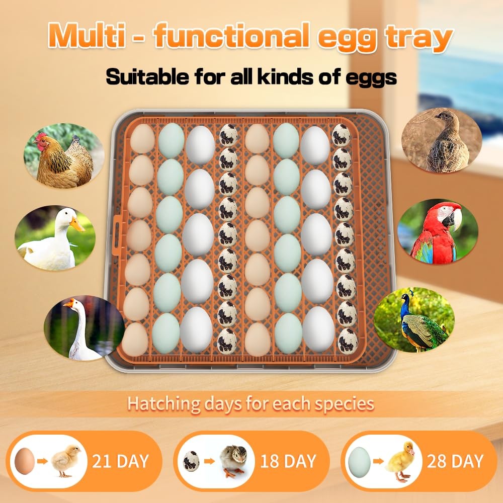 HOWOOlUA 56 Egg Incubator for Hatching Eggs with Auto Turn, Temp & 56-ORANGE