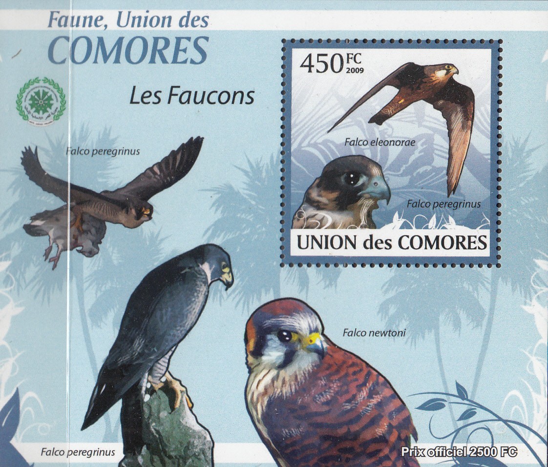 W COMORO Y2009 (14) (2) BIRDS FALCONS