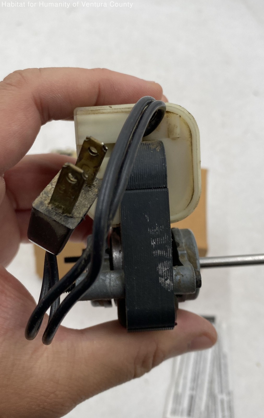 Blower Motor