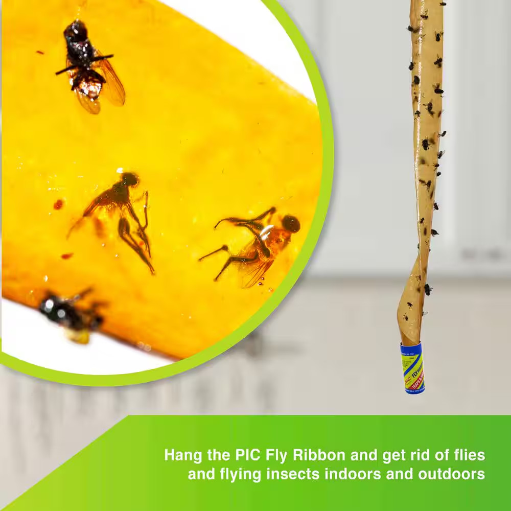 Fly Catcher Ribbon (96-Count)