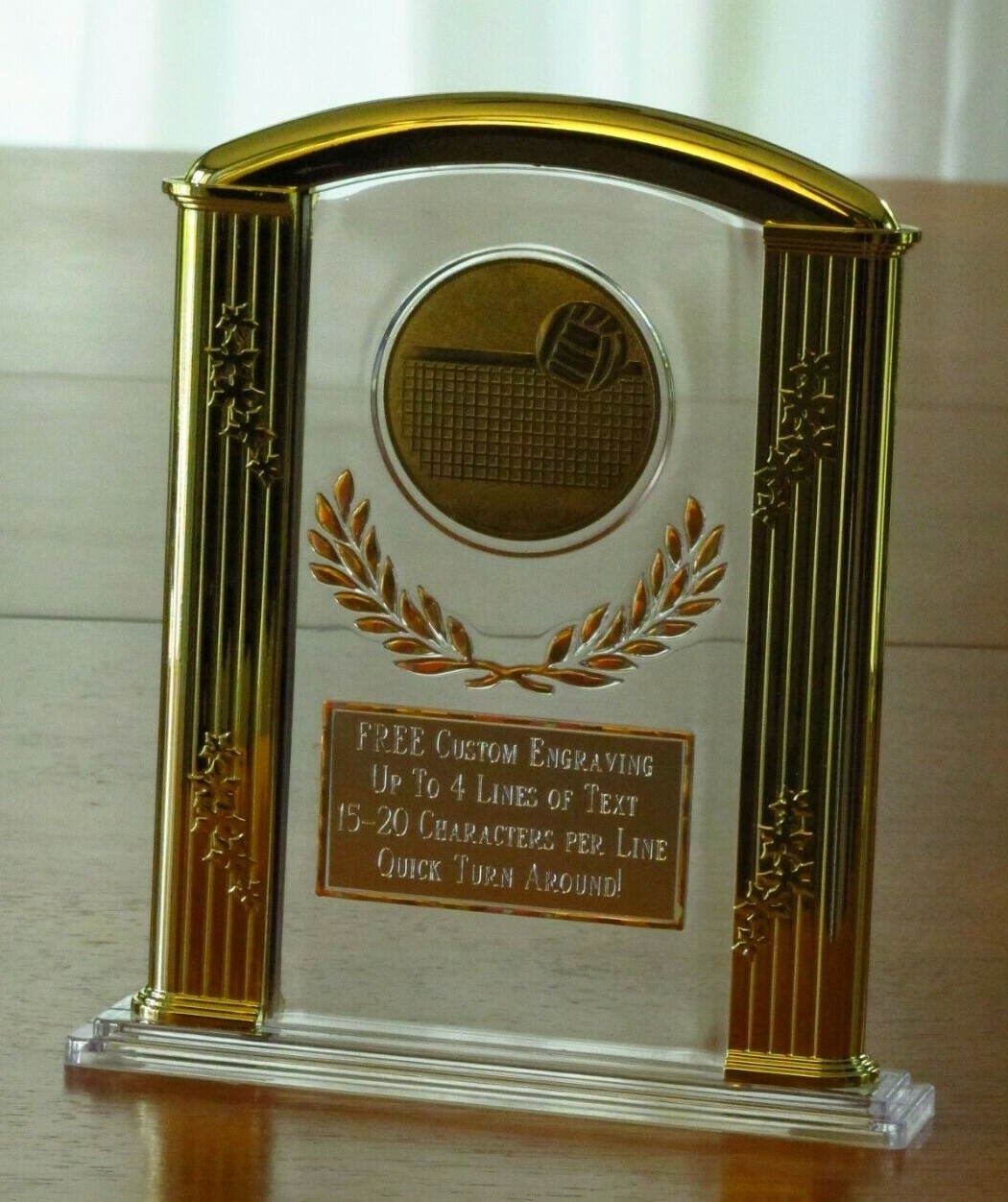 Volleyball (or any SPORT) 7" Acrylic Award Trophy FREE custom engraving