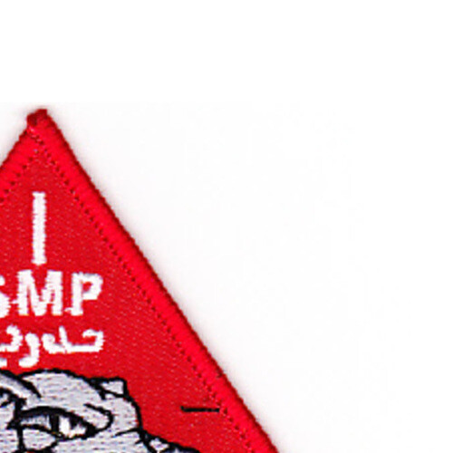 Wolf Brigade Counter Assault Afghanistan Patch SMP