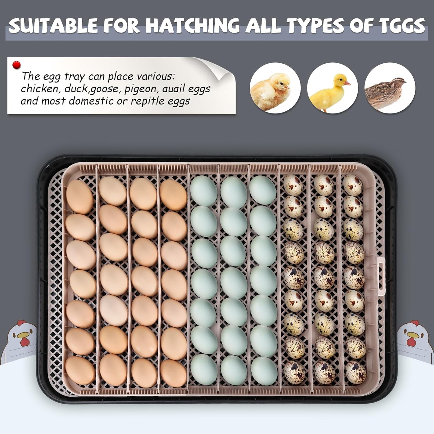 70 Egg Incubator with Automatic Egg Turning & Temperature Humidification Control