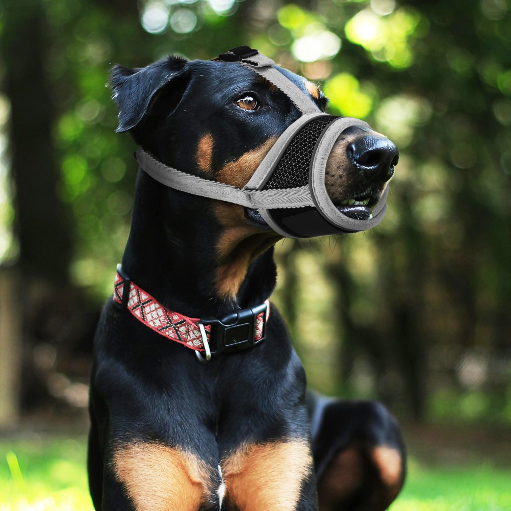 Dog Muzzles for Large Dogs Chihuahua Biting Mouth Guard Pet Cover Bark Stopper