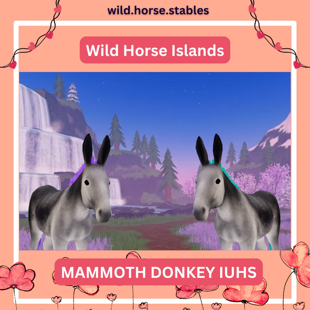 Wild Horse Islands - Mammoth Donkey IUHS