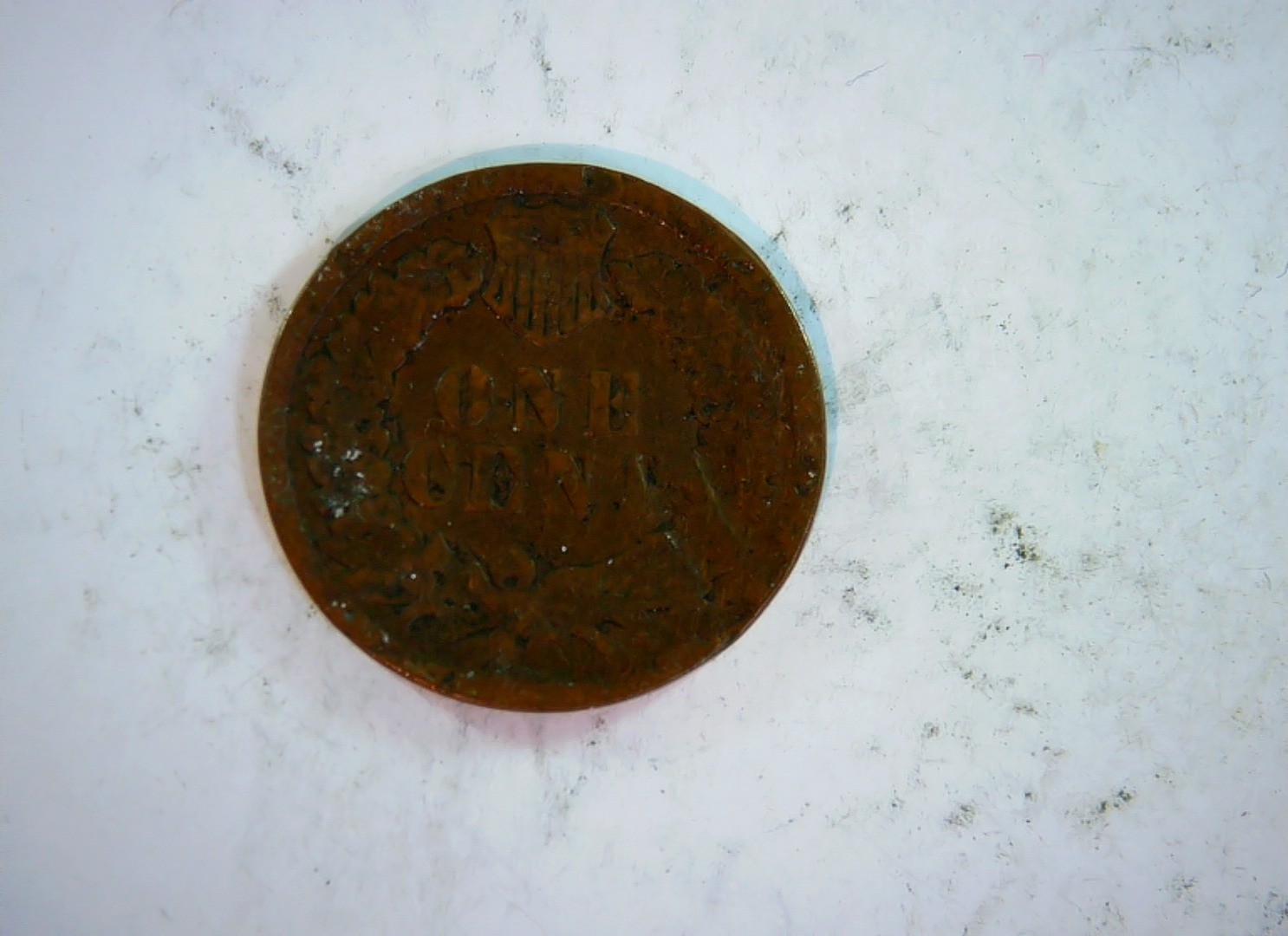 United States 1889 1 Cent Indian Head Cent Coin