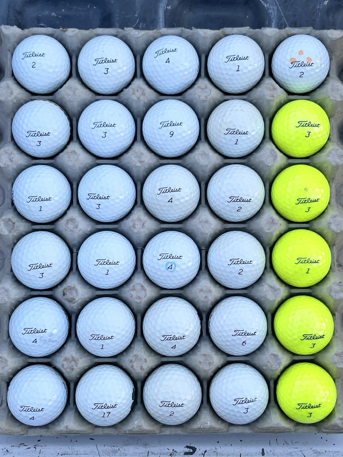 24 Near Mint AAAA Titleist Pro V1 Recycled-Used Golf Balls...Asst. Model Years