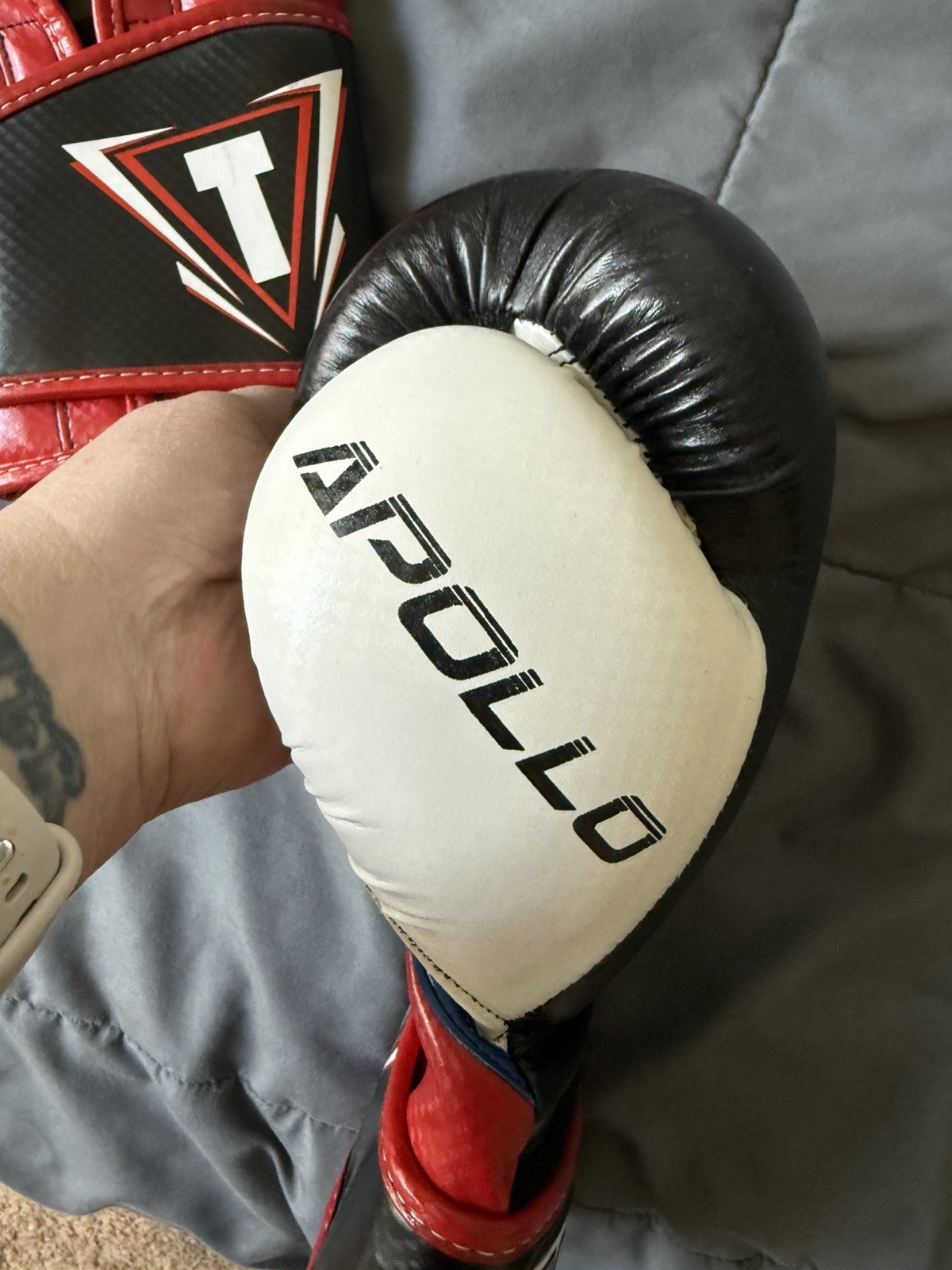 TITLE Boxing World Bag Leather Boxing Gloves 14 oz Black White Red