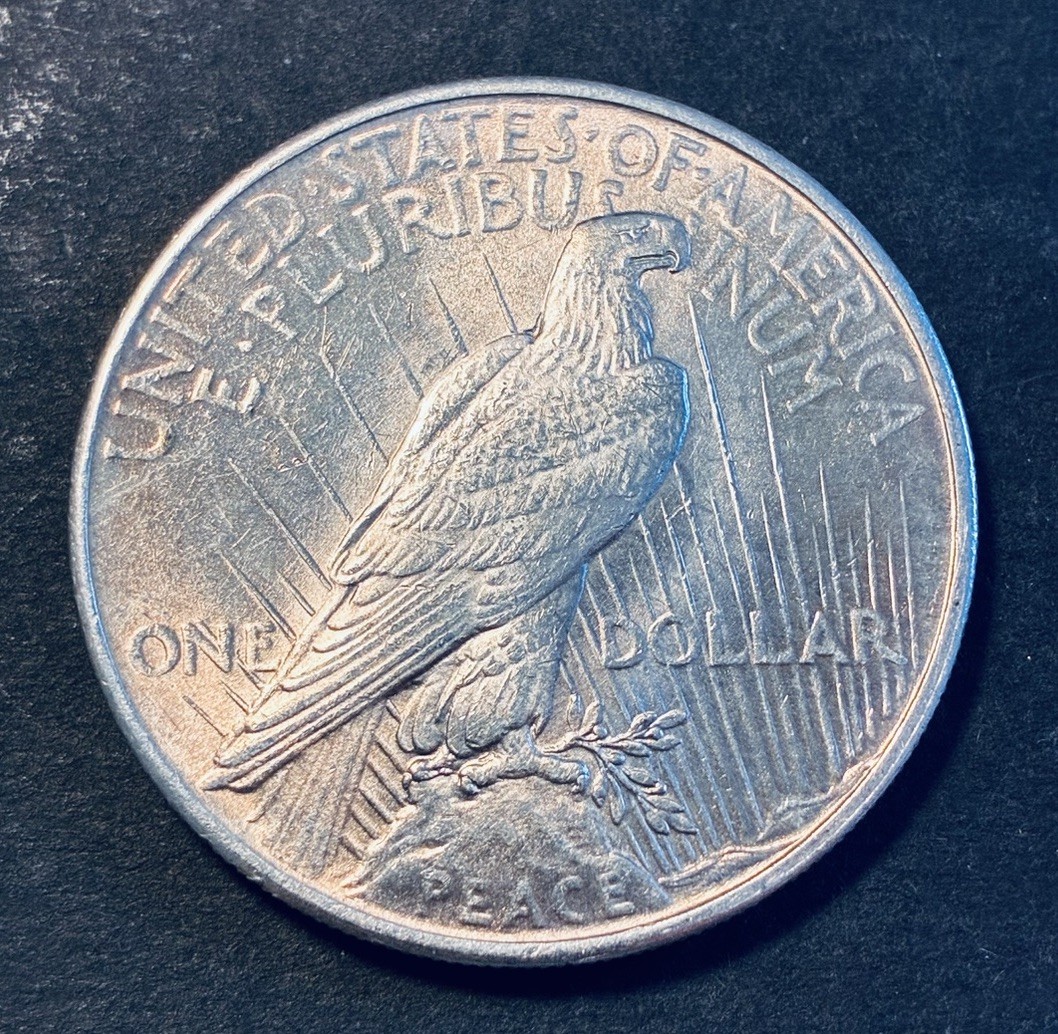 1924 (P) Uncirculated Peace Silver Dollar Nice Color Subtle Toning