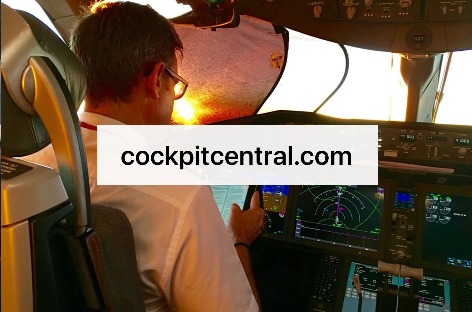 cockpitcentral.com Brandable Premium Domain Name for Sale Travel Blogs Airline
