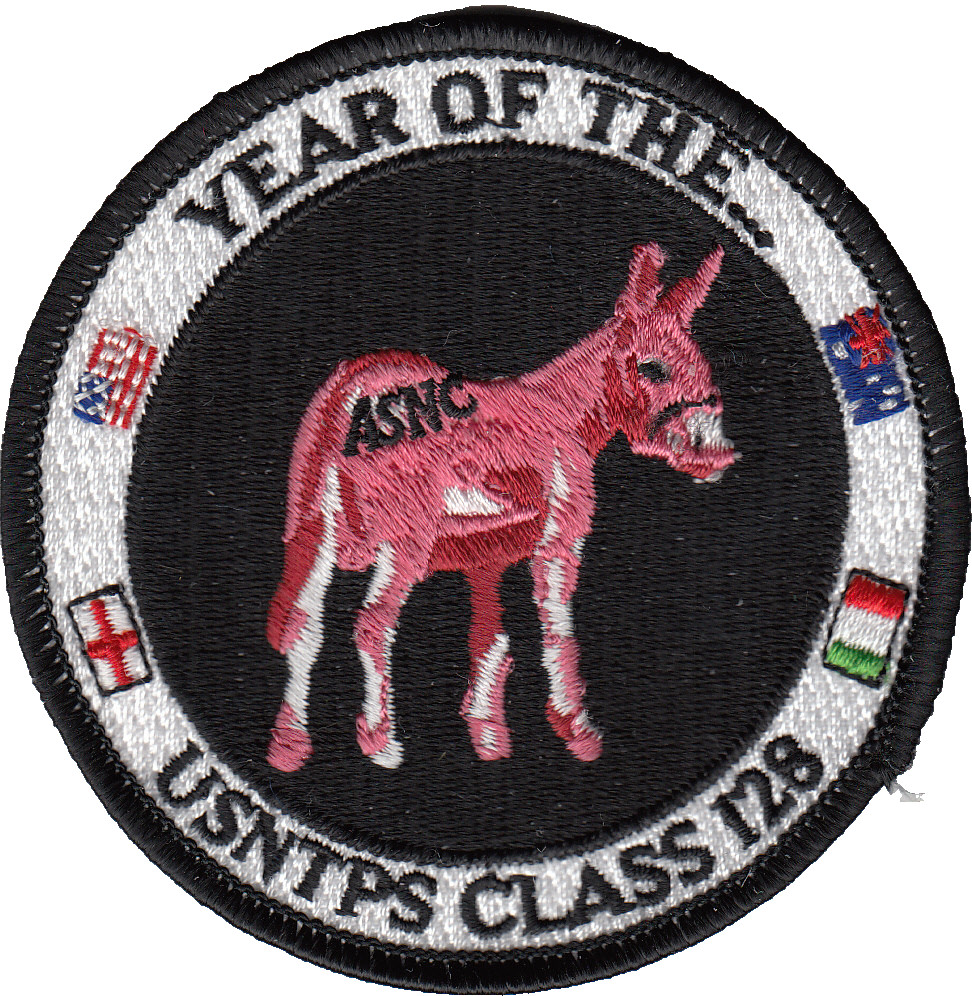 USNTPS CLASS 128 SHOULDER PATCH
