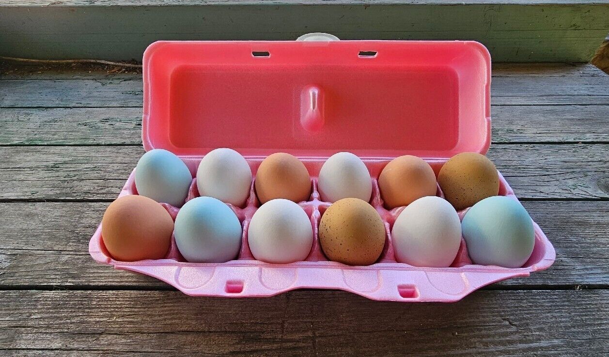 Styrofoam Egg Cartons (10 pack)