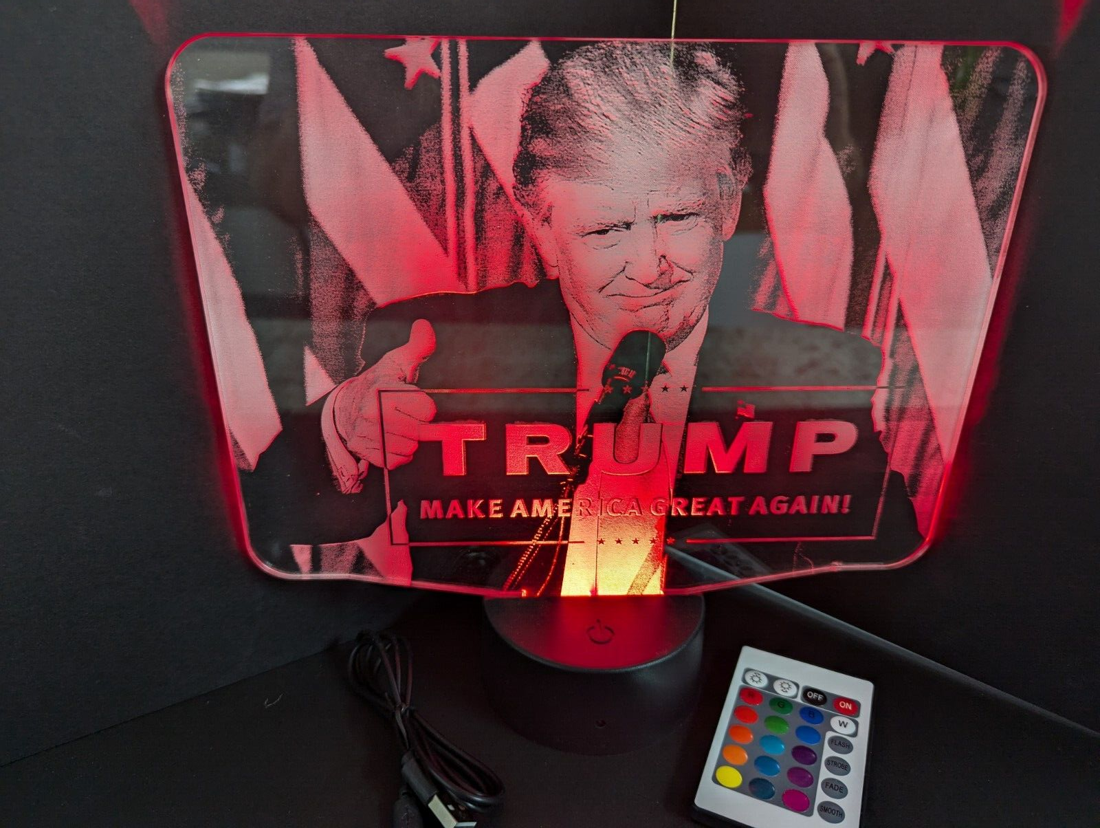 Donald Trump 2024 President L.E.D. Large light display