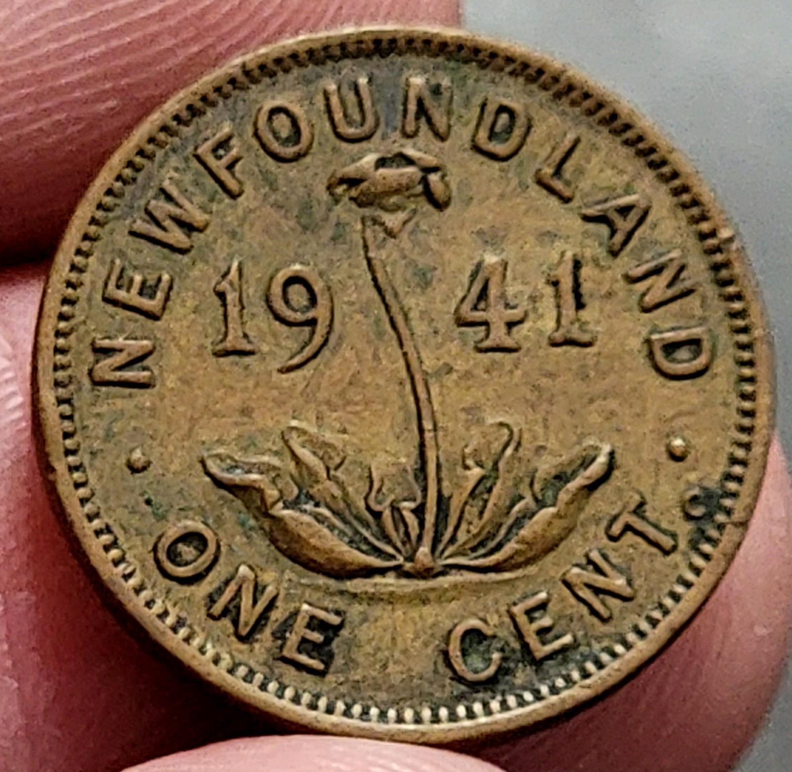 1941 C Newfoundland Small 1 Cent - George VI Pitcher Plant Bronze 1c Coin VF-25