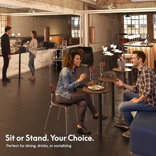 FLEXISPOT Gas Spring Adjustable Bar Table with One-Touch Lift, 20‘’ Walnut